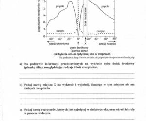 MATURA 2012 BIOLOGIA poziom ROZSZERZONY 14.05.2012 - ARKUSZE, ZADANIA, PYTANIA, ODPOWIEDZI