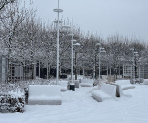 Bałtyk zimową porą, uchwycony w kadrach