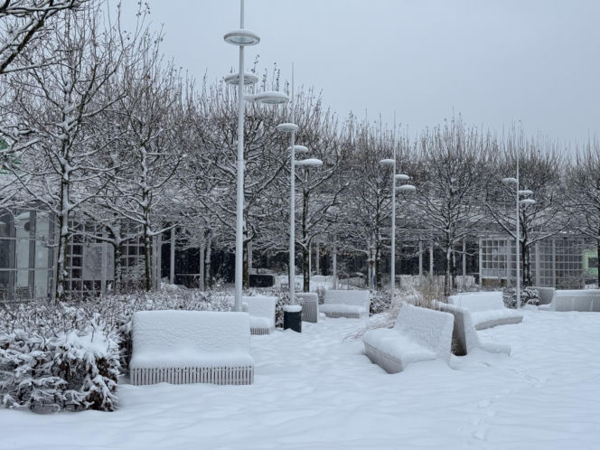 Bałtyk zimową porą, uchwycony w kadrach