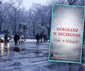 Zażartowali z gołoledzi i zimowego chaosu. Nagranie stało się viralem