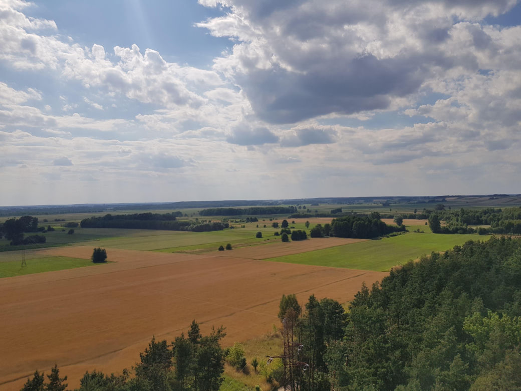 Gminy w Podlaskiem, gdzie dochód na mieszkańca jest najniższy. 10 najbiedniejszych gmin w województwie