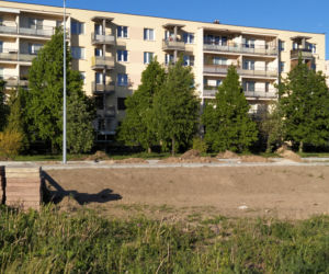 Teren łąki kwietnej przy remontowanej ul. Monte Cassino oraz postępy remontu - ZDJĘCIA