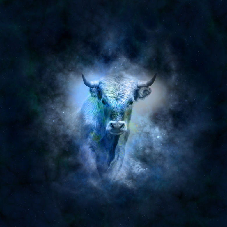Horoskop dzienny: Byk 21.04-21.05. Horoskop na dziś