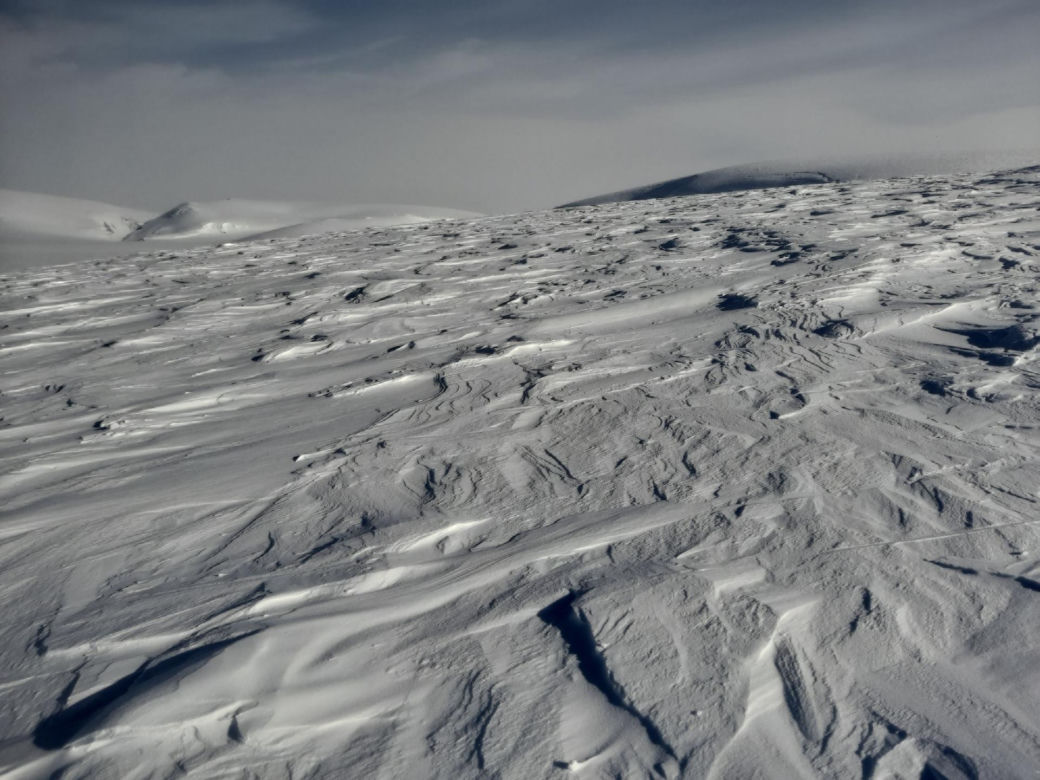  Polka samotnie weszła na Newtontoppen (1713 m), najwyższy szczyt wyspy Spitsbergen. Zrobiła to z bronią! 