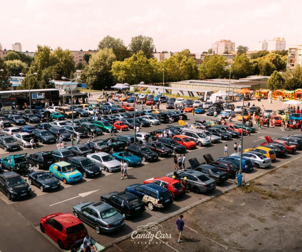 Fani motoryzacji pomagają schroniskom. Druga edycja zlotu Family Cars Leszno już w sobotę