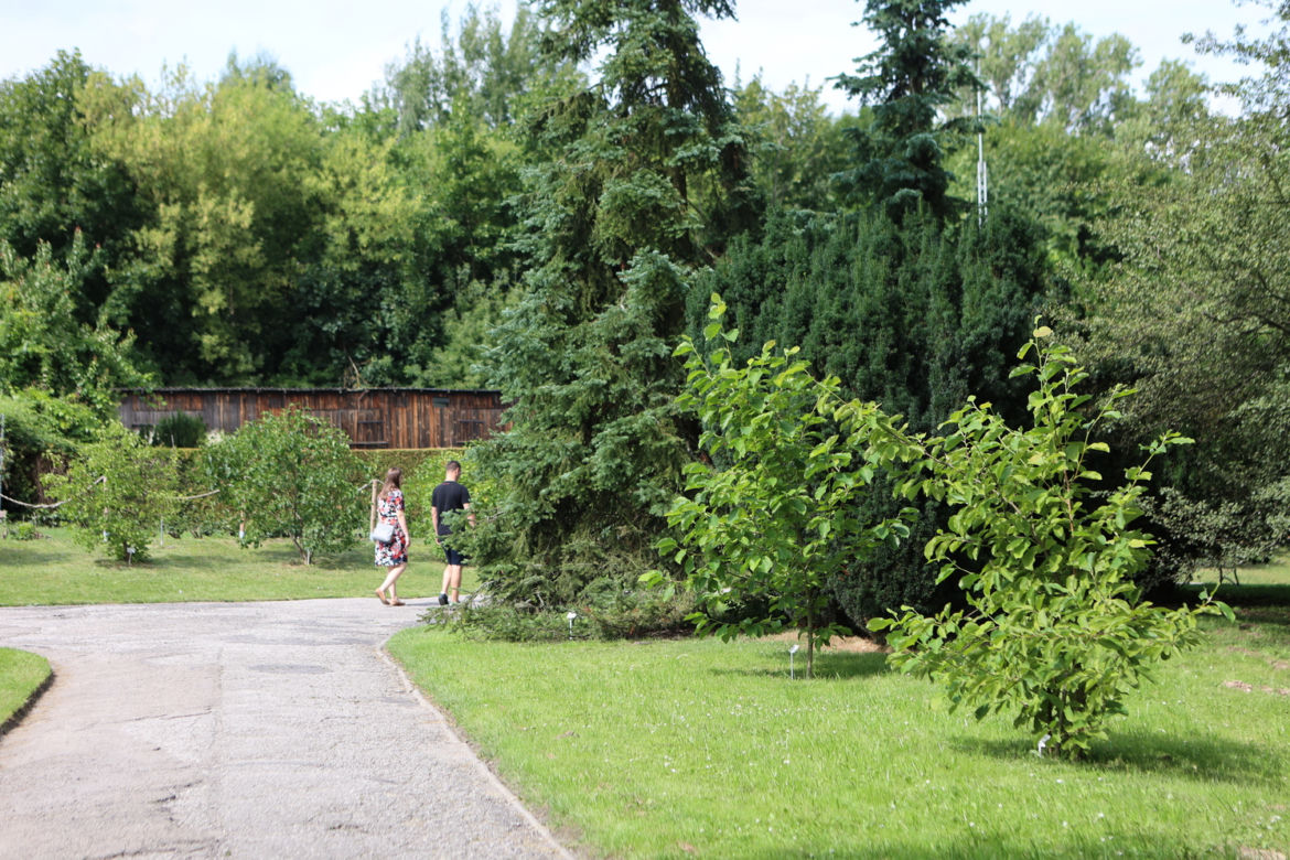 Kwitnący Ogród Botaniczny UMCS w Lublinie