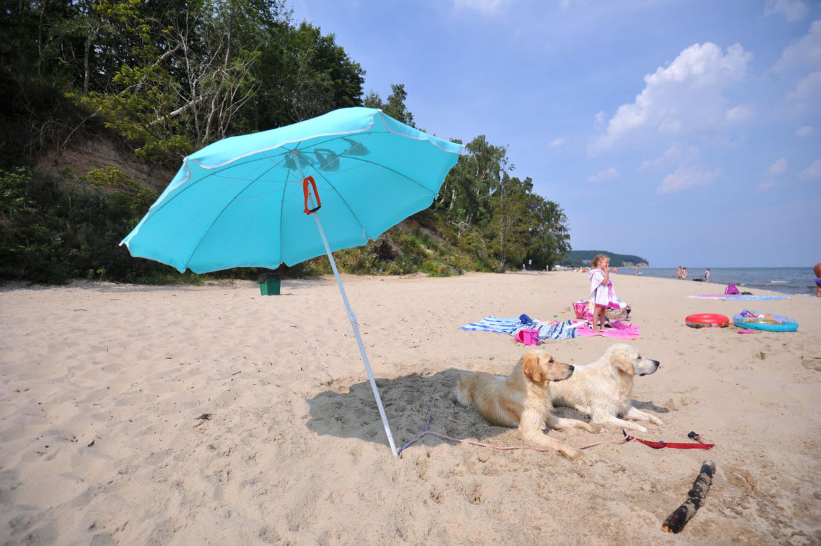 Plaża w Gydni