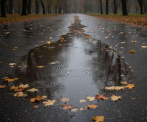 Jeden dzień może pokrzyżować plany w Wrocławiu. Weekendowa prognoza ma ważny szczegół