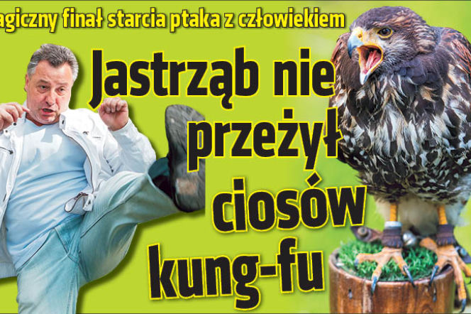 Jastrząb nie przeżył ciosów kung-fu