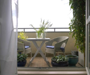 Rośliny na balkon
