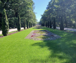 Przebudowa parku Planty w Białymstoku