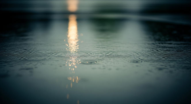 Tragiczny wypadek w Mąkolinie. Co ujawniono po sekcji zwłok 14-latki?