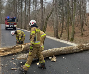 Zerwane dachy, powalone drzewa i prawie 11 tysięcy odbiorców bez prądu!