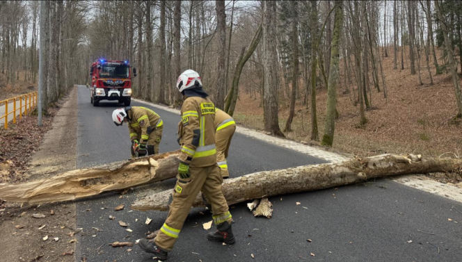 Zerwane dachy, powalone drzewa i prawie 11 tysięcy odbiorców bez prądu!