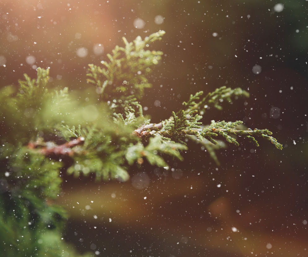 Tarnów: Pogoda w weekend będzie PASKUDNA! I dobrze dobrze!