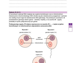 Próbna matura 2026 biologia. WSZYSTKIE arkusze CKE i odpowiedzi 14.01.