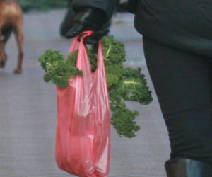 Małgorzata Tusk na przedświątecznych zakupach