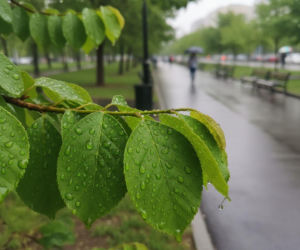 Weekend w Poznaniu z rosnącą temperaturą. Niedziela przyniesie zmianę w pogodzie