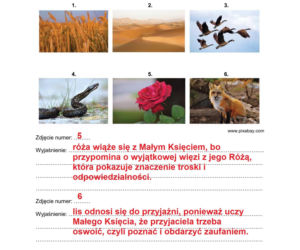 Egzamin ósmoklasisty 2026 polski: Arkusze CKE i odpowiedzi - sprawdź, czy zdałeś! 11.05.2026