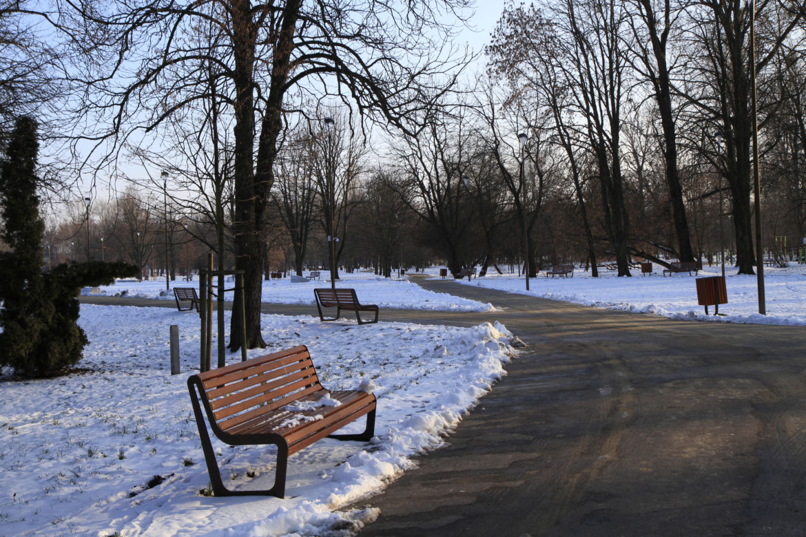 Park Ludowy w Lublinie oprószony śniegiem. Zobacz zdjęcia ze spaceru!