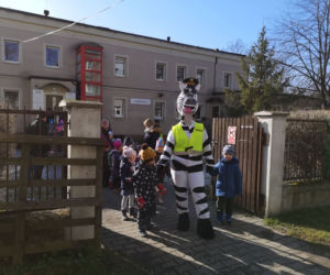 Zebra uczy dzieci przechodzić przez... zebrę