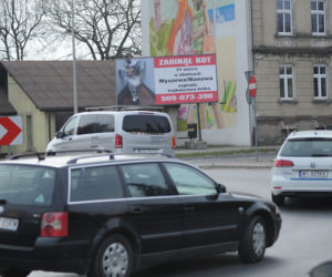 Koszalin: Poszukiwania kota