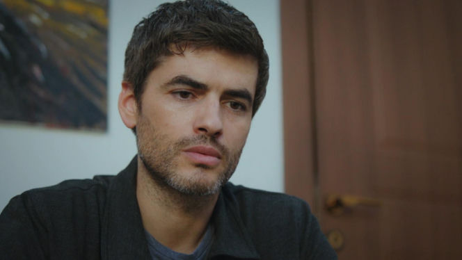 Dziedzictwo, odc. 884. Poyraz