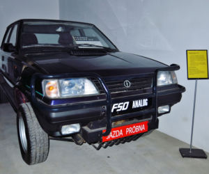 Polonez Analog