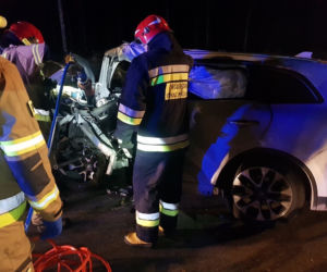 Białogrądy. Kierowca renault uderzył w drzewo. Tyle zostało z auta [ZDJĘCIA]