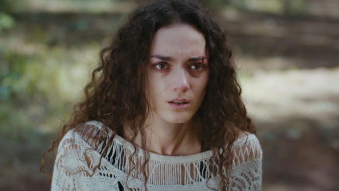 Dziedzictwo, odc. 892. Nana