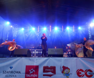 Dni Sosnowca za nami! [GALERIA, AUDIO]