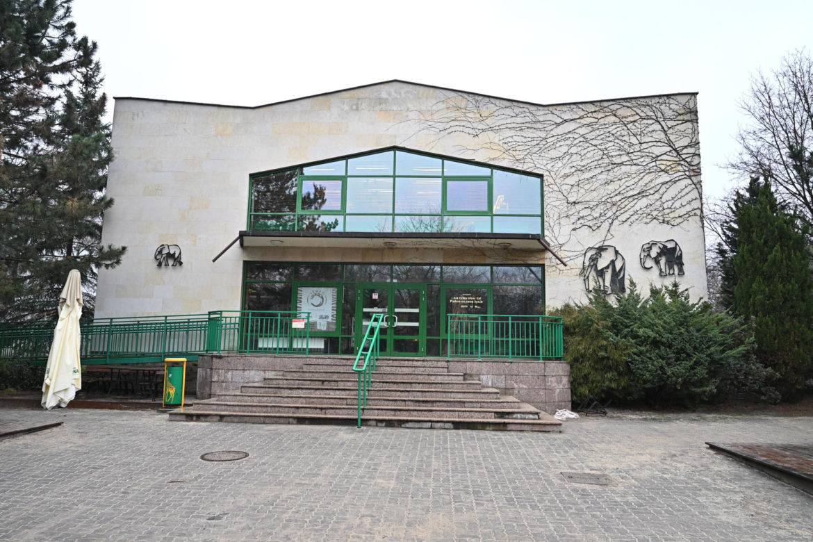 Słoń Leon ma urodziny. Wielka impreza w warszawskim ZOO