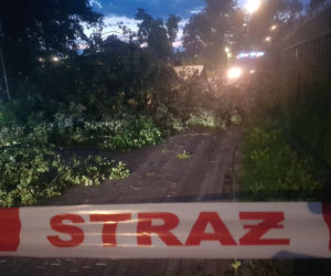 Gwałtowna burza nad Olsztynem - połamane drzewa