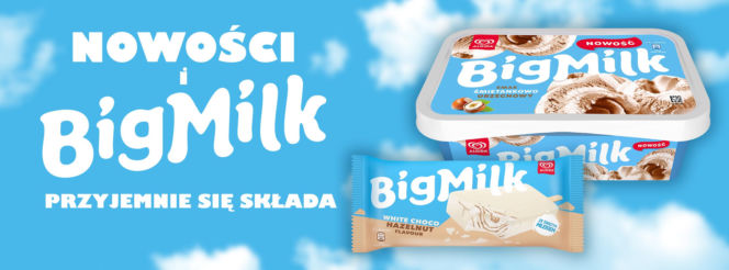 The Magnum Ice Cream Company