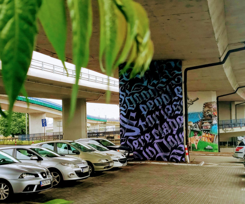 Murale na filarach Trasy Zamkowej