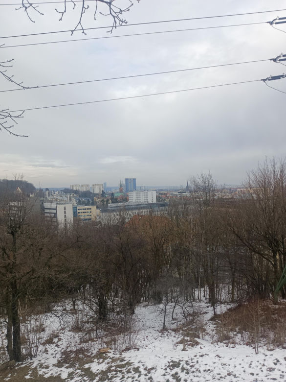 Szubieniczna Góra