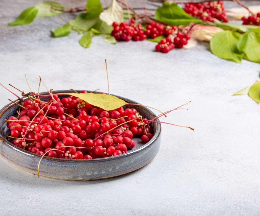 Czy owoce cytryńca są jadalne?