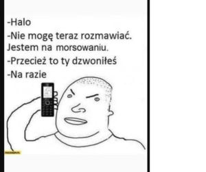 Sezon na MORSOWANIE otwarty! Zobacz najlepsze MEMY!