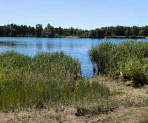 Przy zbiorniku na Zaborowie powstanie plaża, ale bez kąpieliska