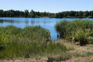 Przy zbiorniku na Zaborowie powstanie plaża, ale bez kąpieliska