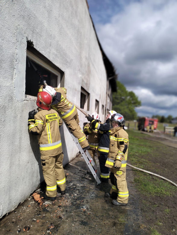 Pożar stadniny koni w Bronkowie pod Krosnem Odrzańskim 