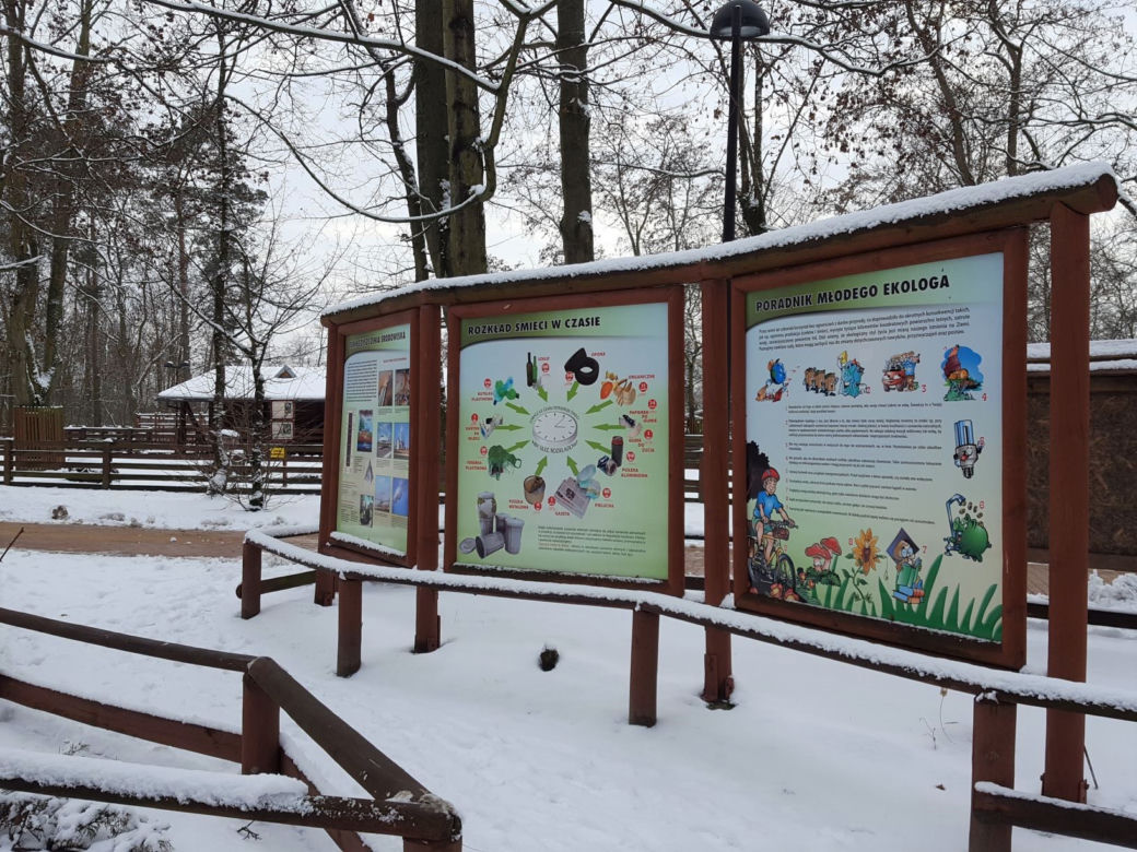 Z górki na pazurki, czyli zima w Parku 1000-lecia w Lesznie