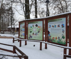 Z górki na pazurki, czyli zima w Parku 1000-lecia w Lesznie