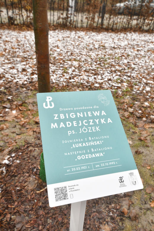 Powstańcy zapuścili korzenie. 20 drzew dla bohaterów w parku na Woli