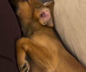 Monika Richardson spędzi nietypowego sylwestra. Oto, co nam wyjawiła