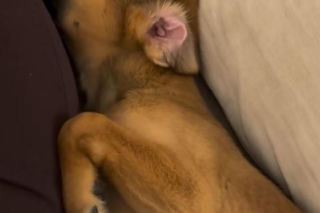 Monika Richardson spędzi nietypowego sylwestra. Oto, co nam wyjawiła