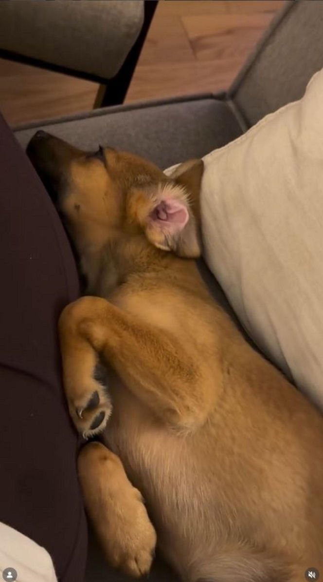 Monika Richardson spędzi nietypowego sylwestra. Oto, co nam wyjawiła