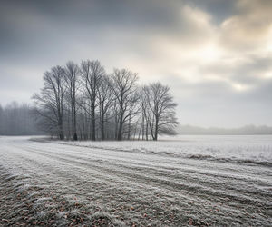 Pogoda Kielce 19.11.2025. Coś niezwykłego dzieje się z temperaturą!