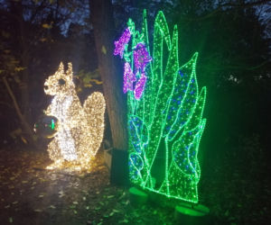 Park Iluminacji w Poznaniu