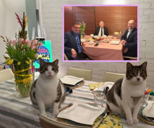 Bielan ujawnia kulisy kolacji: Ważyłem swoje tłuste koty dla prezesa 